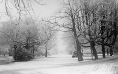 221099 Gezicht op het besneeuwde Wilhelminapark te Utrecht, aan de kant van de Burgemeester Reigerstraat